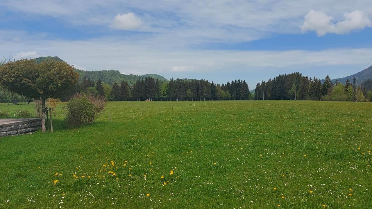 Ferienwohnung Seeberg Mit Almfeeling Faistenau Zewnętrze zdjęcie