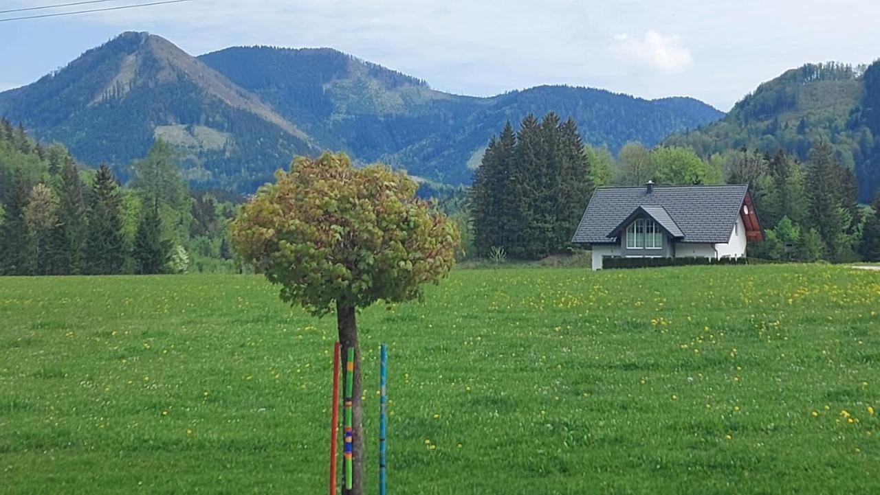 Ferienwohnung Seeberg Mit Almfeeling Faistenau Zewnętrze zdjęcie